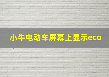 小牛电动车屏幕上显示eco