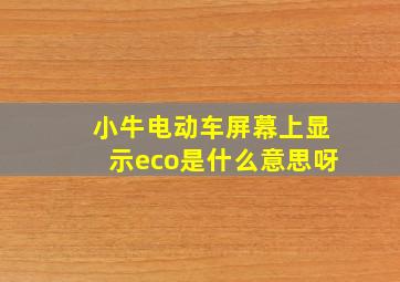 小牛电动车屏幕上显示eco是什么意思呀