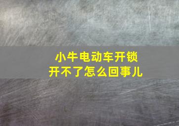 小牛电动车开锁开不了怎么回事儿