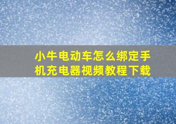 小牛电动车怎么绑定手机充电器视频教程下载