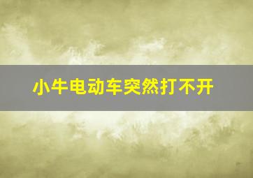 小牛电动车突然打不开