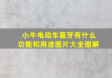 小牛电动车蓝牙有什么功能和用途图片大全图解