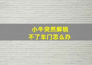 小牛突然解锁不了车门怎么办