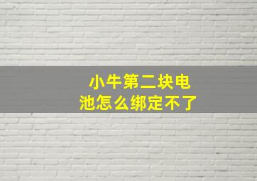 小牛第二块电池怎么绑定不了