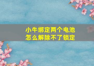 小牛绑定两个电池怎么解除不了锁定