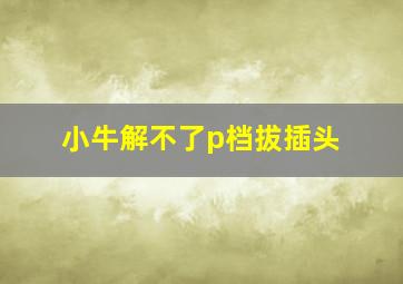 小牛解不了p档拔插头