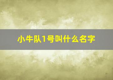 小牛队1号叫什么名字