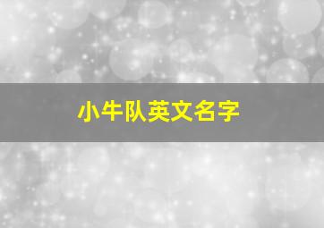 小牛队英文名字