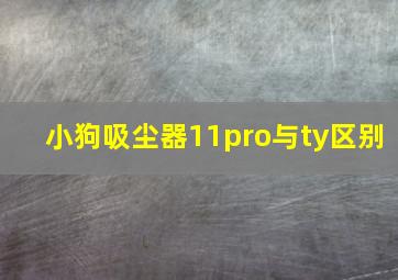 小狗吸尘器11pro与ty区别