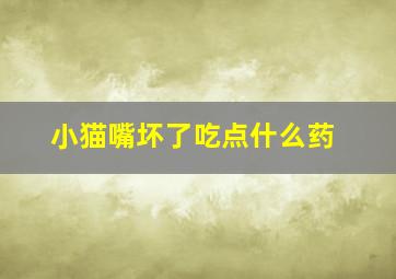 小猫嘴坏了吃点什么药