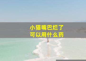 小猫嘴巴烂了可以用什么药