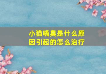 小猫嘴臭是什么原因引起的怎么治疗