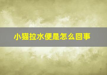 小猫拉水便是怎么回事