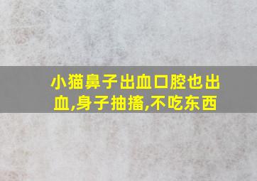 小猫鼻子出血口腔也出血,身子抽搐,不吃东西