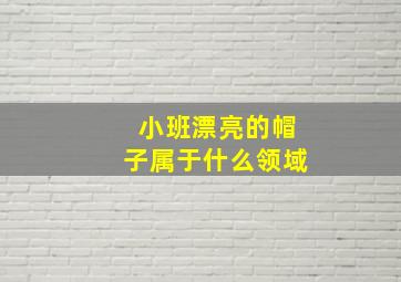 小班漂亮的帽子属于什么领域