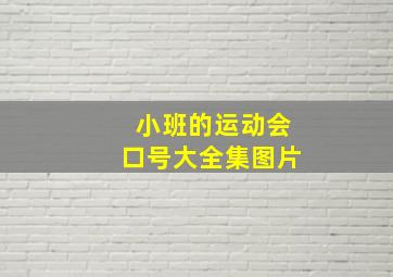 小班的运动会口号大全集图片