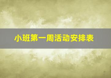 小班第一周活动安排表