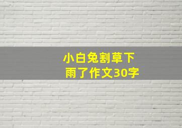 小白兔割草下雨了作文30字