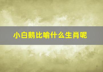 小白鹅比喻什么生肖呢