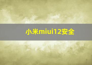 小米miui12安全