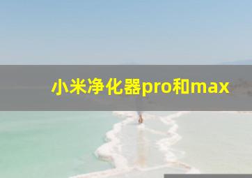 小米净化器pro和max