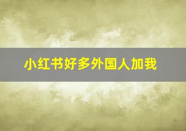 小红书好多外国人加我