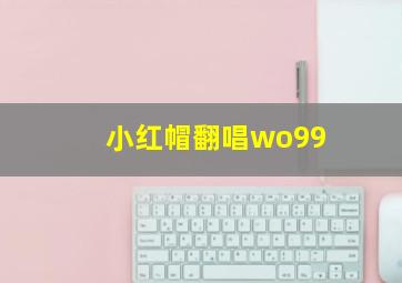 小红帽翻唱wo99