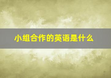 小组合作的英语是什么