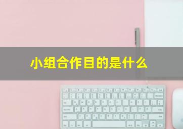 小组合作目的是什么