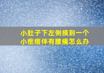 小肚子下左侧摸到一个小疙瘩伴有腰痛怎么办