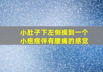 小肚子下左侧摸到一个小疙瘩伴有腰痛的感觉