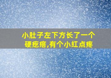 小肚子左下方长了一个硬疙瘩,有个小红点疼