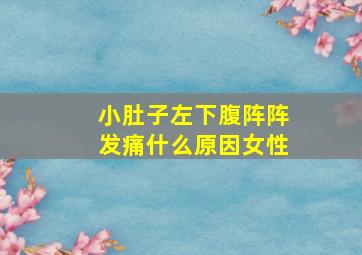 小肚子左下腹阵阵发痛什么原因女性