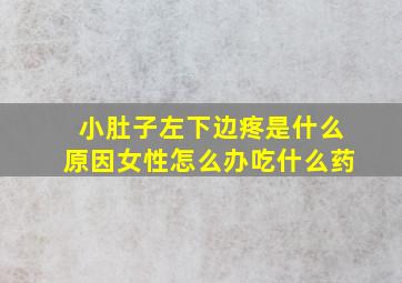 小肚子左下边疼是什么原因女性怎么办吃什么药