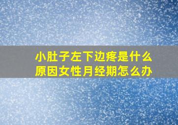 小肚子左下边疼是什么原因女性月经期怎么办