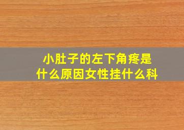 小肚子的左下角疼是什么原因女性挂什么科