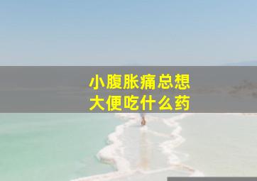 小腹胀痛总想大便吃什么药