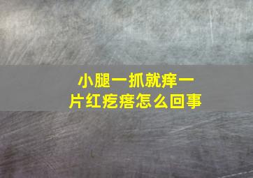 小腿一抓就痒一片红疙瘩怎么回事