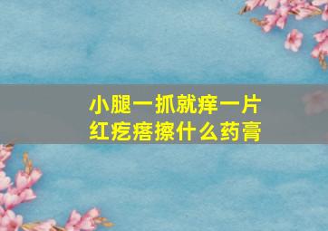 小腿一抓就痒一片红疙瘩擦什么药膏