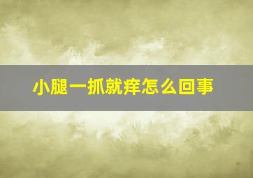 小腿一抓就痒怎么回事