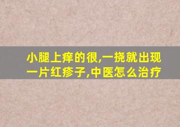 小腿上痒的很,一挠就出现一片红疹子,中医怎么治疗