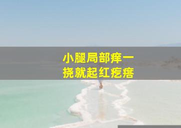 小腿局部痒一挠就起红疙瘩