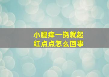 小腿痒一挠就起红点点怎么回事