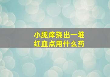 小腿痒挠出一堆红血点用什么药