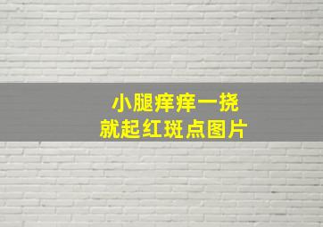 小腿痒痒一挠就起红斑点图片