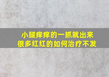 小腿痒痒的一抓就出来很多红红的如何治疗不发