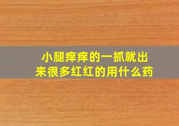 小腿痒痒的一抓就出来很多红红的用什么药