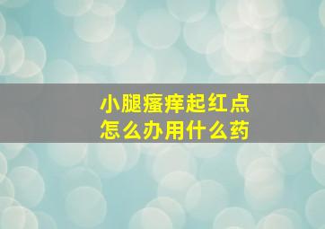 小腿瘙痒起红点怎么办用什么药