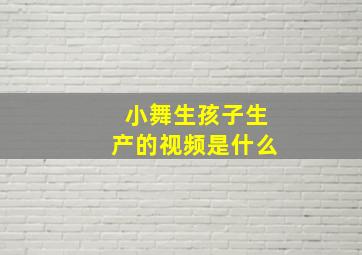 小舞生孩子生产的视频是什么