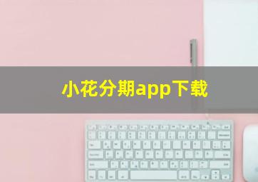 小花分期app下载